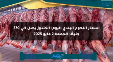 أسعار اللحوم البلدي اليوم: الكندوز يصل إلى 370 جنيهًا الجمعة 2 مايو 2025